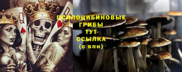 гидра Беломорск