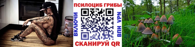 Псилоцибиновые грибы Psilocybe  МЕГА ТОР  Юрюзань 